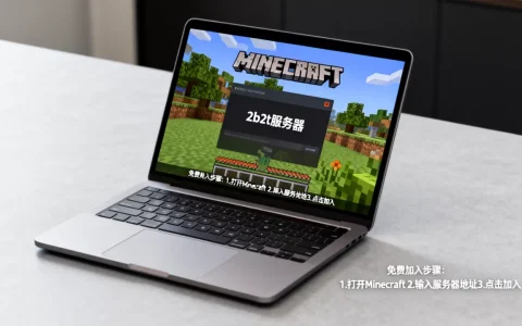 电脑怎么免费加入2b2t服务器？，2b2t服务器网址是什么