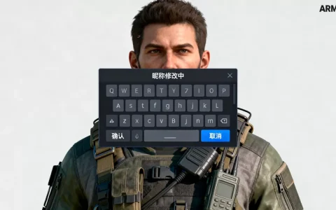 如何在arma3服务器里改名字？,游戏昵称怎么改？