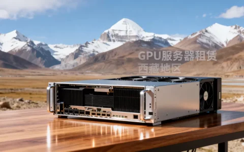 西藏租用GPU服务器怎么收费，多少钱一个月？