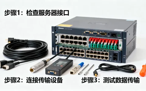 三角洲服务器怎么带出来，新手必看教程？
