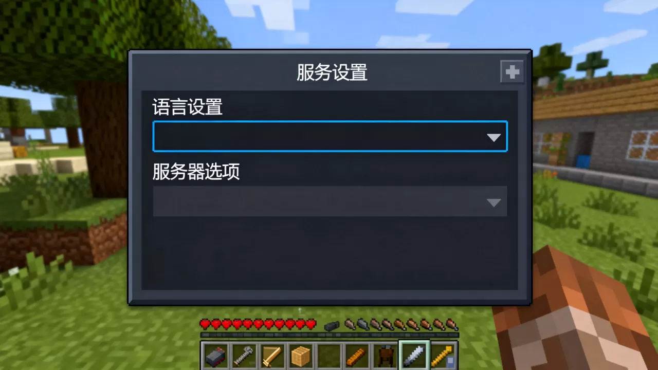 我的世界服务器语言怎么改,在哪里设置呢? 我的世界服务器语言怎么改,在哪里设置呢?