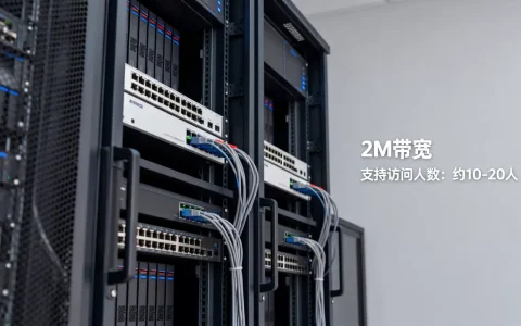 云服务器2M带宽够用吗，2M带宽能支持多少人访问？