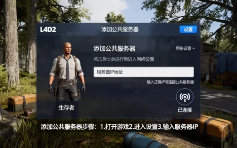 l4d2正版怎么加公共服务器，为什么进不去？