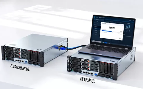 如何将ESXi虚拟机无损转移到另一台主机？，迁移用什么方法