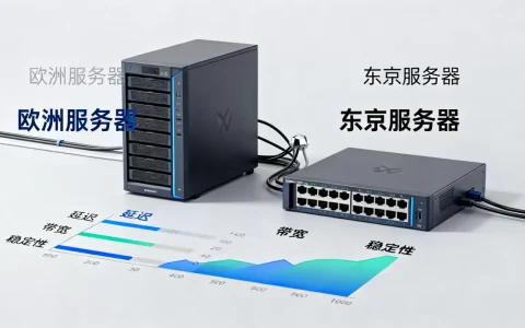 欧洲东京服务器有哪些可选，欧洲服务器和东京服务器哪个好？