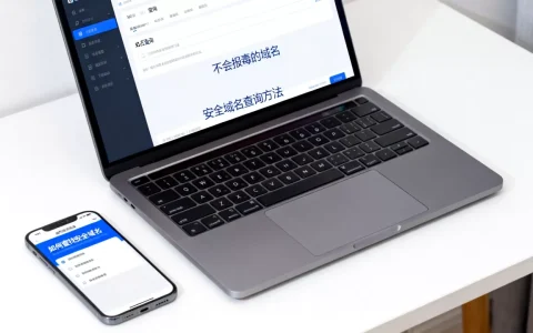 有没有不会报毒的域名？如何查找安全域名？安全域名查询方法？