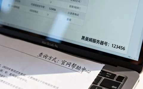 黑曼娟的服务器号是多少？，在哪里能查到？