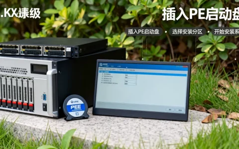 怎么用PE安装服务器系统，服务器系统安装教程视频哪里找？
