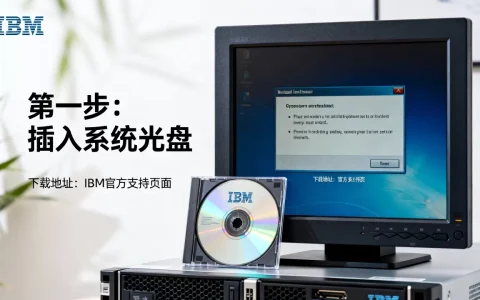 ibm服务器如何用光盘做系统，安装系统下载哪里找