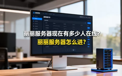丽丽服务器现在有多少人在线？，丽丽服务器怎么进？