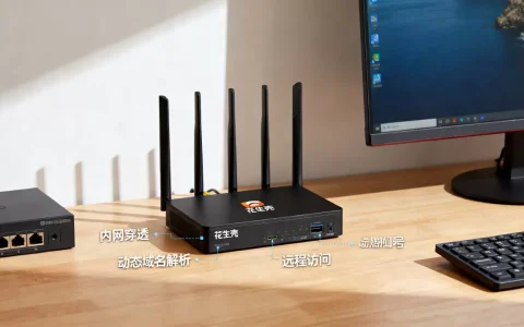 花生壳动态域名如何实现内网穿透？动态域名解析真的能远程访问吗？