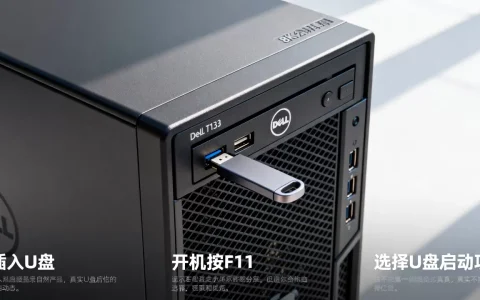戴尔t130服务器如何U盘启动，具体设置步骤有哪些？