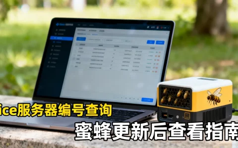 ice服务器编号是多少，蜜蜂更新后怎么查看