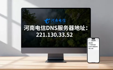河南电信dns服务器地址是多少，怎么设置最快？