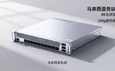 马来西亚240g服务器到底怎么样，值得购买吗？