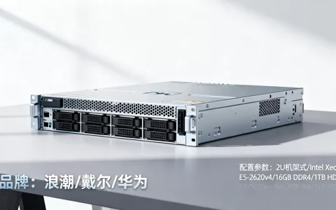 站群专用服务器到底多少钱，哪个牌子比较好？