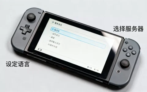 ns日版怎么设定语言和服务器？，怎么操作？