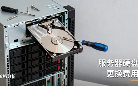 更换服务器硬盘要多少钱，服务器硬盘价格贵吗？