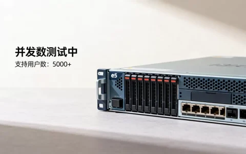 e5服务器并发数是多少，能支持多少人同时访问？