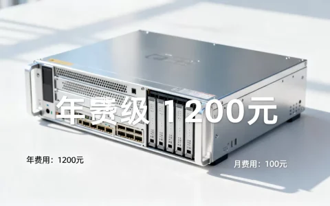 云服务器一年的费用是多少，一个月大概多少钱？