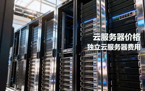 云服务器价格一般多少？,独立云服务器费用是多少