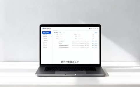新手怎么找到域名控制面板入口？域名控制面板在哪里
