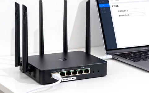 IPV4路由器DNS服务器怎么设置才正确？，详细步骤是什么？