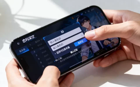 恋与深空怎么通过id查服务器，查服务器方法是什么？