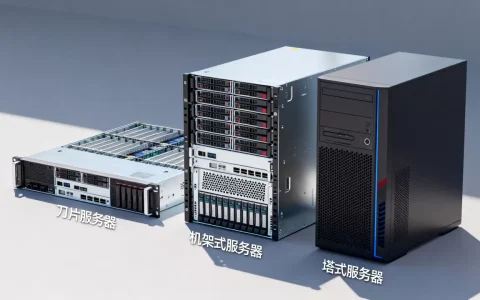 服务器计算平台有哪些可选类型，哪种性价比更高