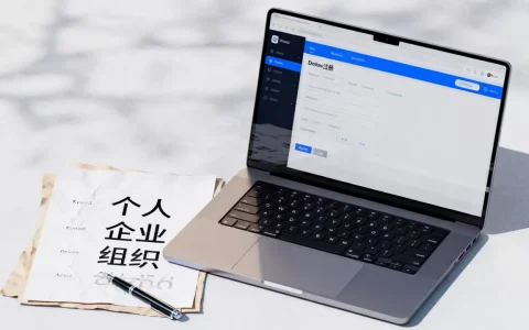 域名持有者类型怎么选？新手如何正确选择域名持有者类型？
