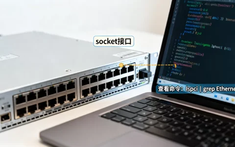 一台服务器到底有多少个socket，怎么查看？