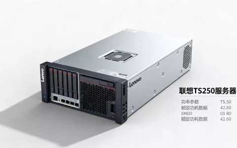 联想ts250服务器功率多少瓦，ts250额定功耗是多少？