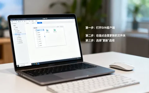 SVN服务器怎么更新文件夹，具体操作步骤是什么？