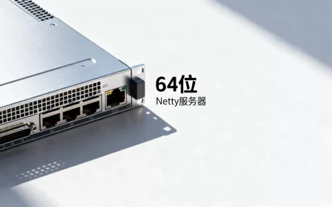 Netty服务器32位够用吗，和64位有什么不同？
