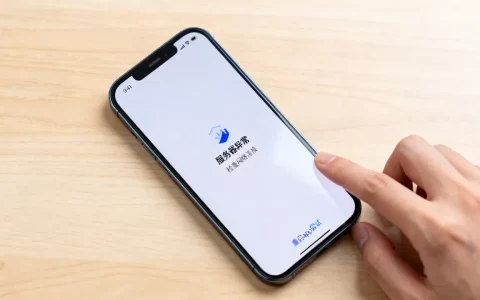 泰萌主app今天为什么显示服务器异常，服务器异常怎么解决