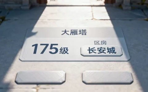 大雁塔服务器到底多少级，大雁塔服务器是哪个区？