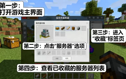 我的世界网易版怎么看收藏的服务器？，详细步骤是什么？