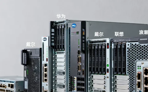服务器面板到底有哪些品牌，哪个牌子性价比高？