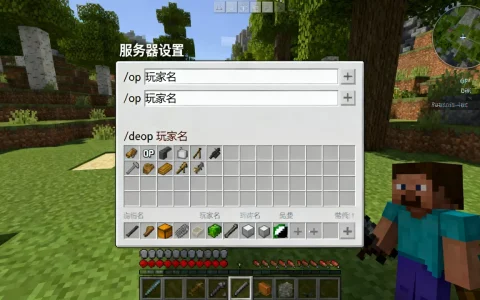 我的世界服务器怎么设置自己为OP？，服务器OP指令怎么用？