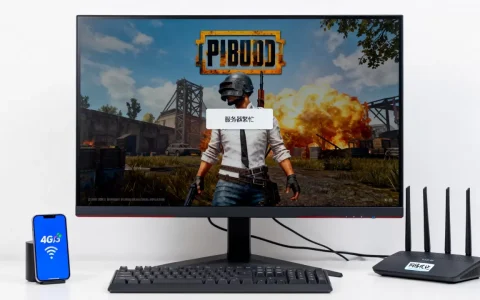 电脑PUBG服务器非常繁忙怎么办，是什么原因？