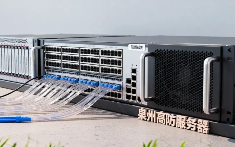 网盾科技泉州高防服务器半价吗，泉州高防服务器租用哪家好？