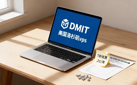 DMIT：美国洛杉矶vps，7折优惠，$33.21/年，1核/1G内存/20G SSD/1000G流量 – VPS评测 – 国外VPS，国外VPS商家，评测及优惠