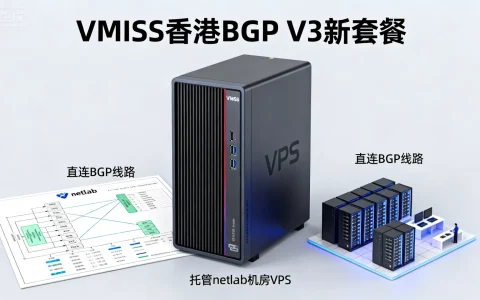 VMISS香港BGP V3新套餐如何?直连BGP线路/托管netlab机房VPS评测优缺点?