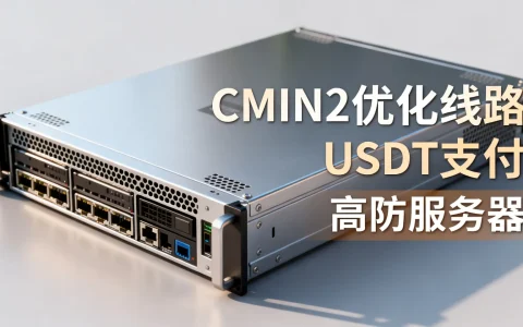 CMIN2优化线路服务器怎么样?USDT支付的高防服务器推荐