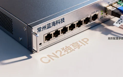 常州蓝海科技高防服务器好用吗？电信联通移动CN2独享IP多少钱？