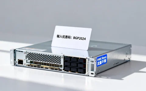 海外BGP多线vps优惠码怎么用？Intel Xeon流量用不完立减