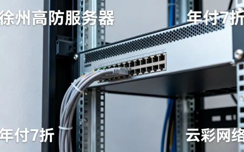 徐州高防服务器年付7折吗，云彩网络哪家好？