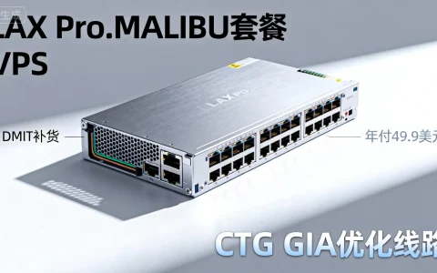 DMIT补货LAX.Pro.MALIBU套餐方案 ，年付49.9美元 CTG GIA 优化线路 - VPS评测 - 国外VPS，国外VPS商家，评测及优惠