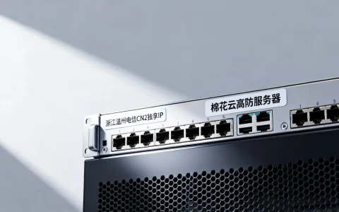 棉花云高防服务器好用吗？浙江温州电信CN2独享IP怎么样？