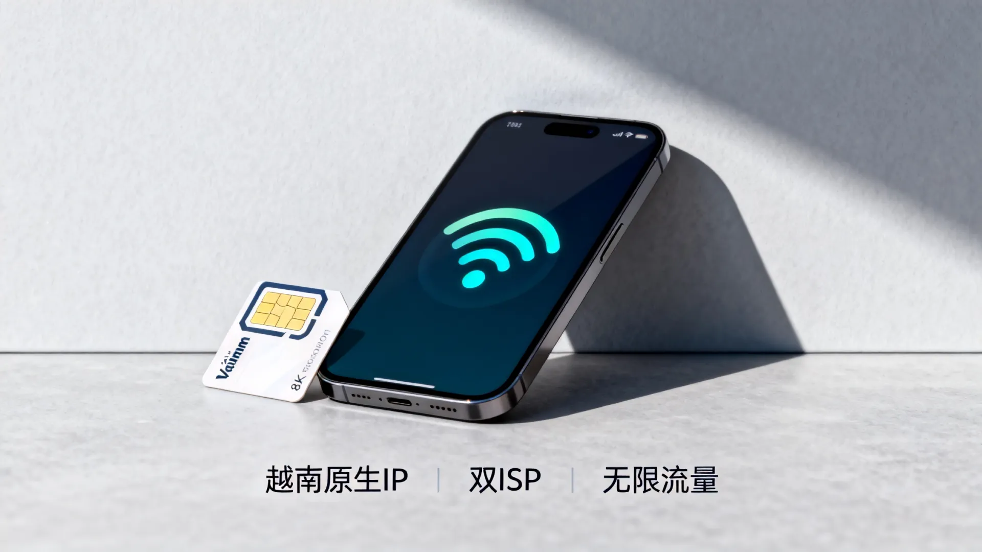 海外双ISP 越南原生ip